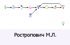 rostr